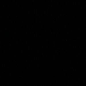 Meet your Posher, Bobby